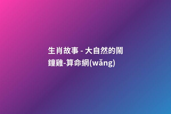 生肖故事 - 大自然的鬧鐘雞-算命網(wǎng)